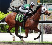 Faaltless (Barend Vorster) on his way to a debut win on Sunday.<br>Photo by Singapore Turf Club